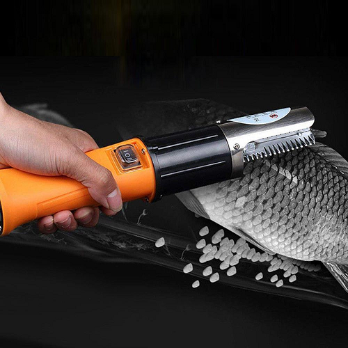 How To Choose The Right Fish Cleaning Machine For Your Business